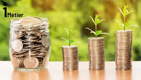 Microfinance vs Banque : Où gratter ton premier financement ? 💸